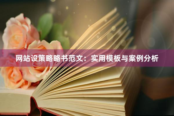 网站设策略略书范文：实用模板与案例分析