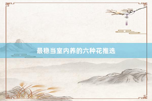 最稳当室内养的六种花推选